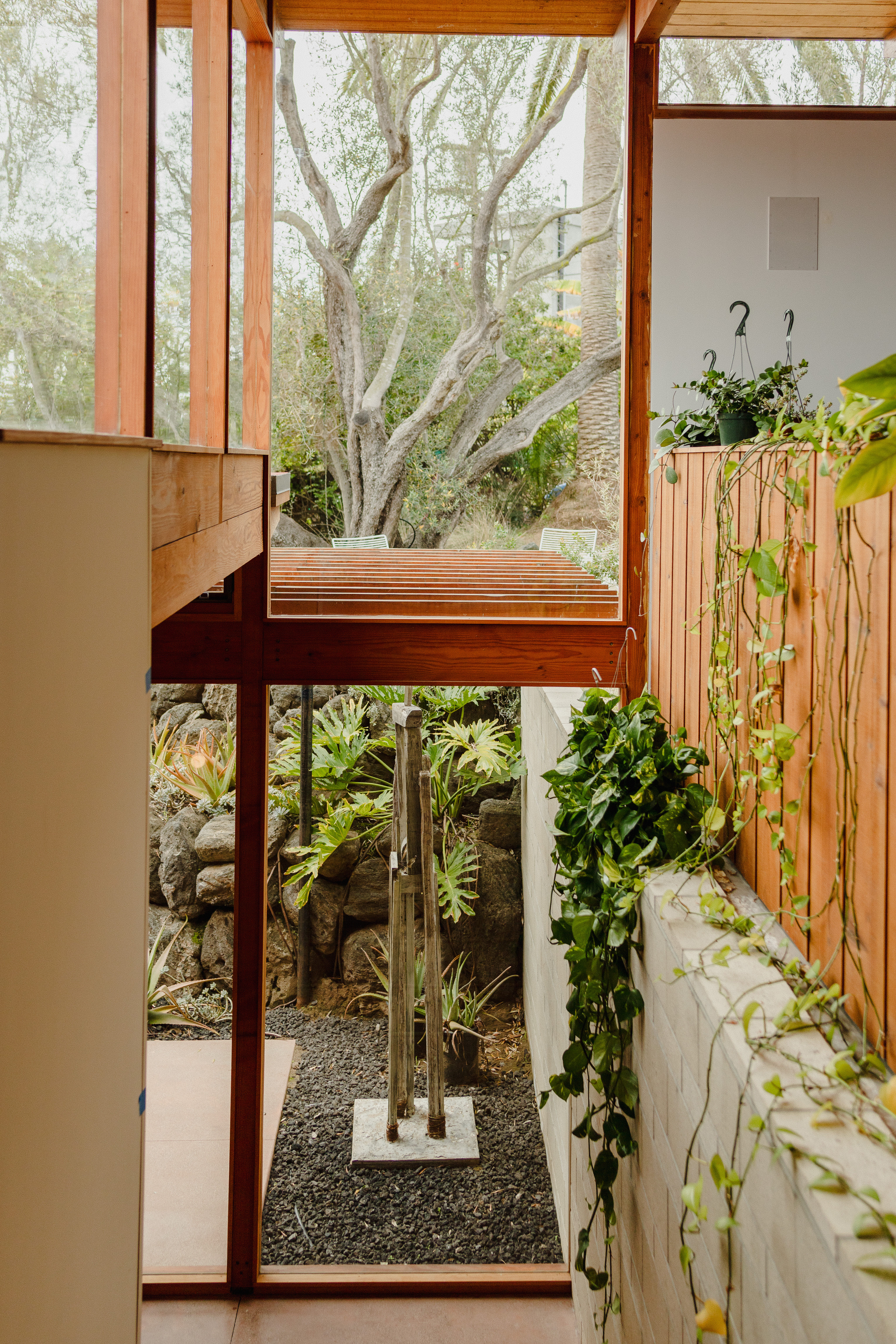 Redwood framed window with trailing plants